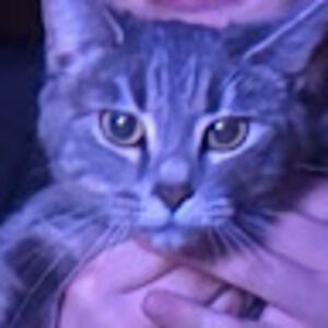 Meet your Posher, Aaryn